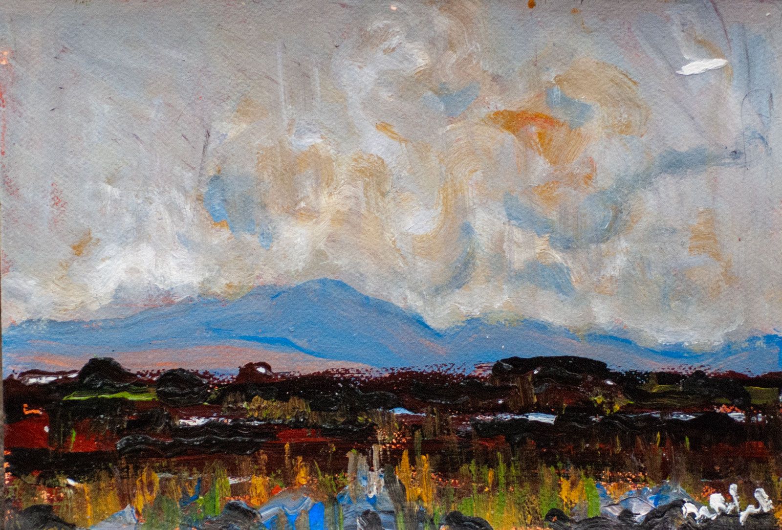 Boglands by Marie Carroll